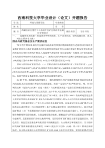 矿产类开题报告