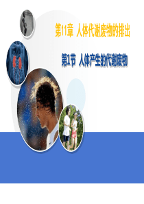 11.1-人体产生的代谢废物
