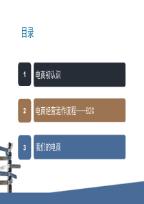 13B2C运营方案