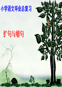 缩句、扩句复习课件2