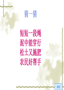 教科版科学三年级上册《蚯蚓》PPT课件4