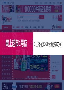 1号店百度DSP营销投放方案
