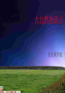《大自然的语言》课件