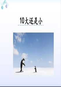 《大还是小》ppt课件