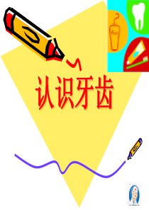 认识牙齿ppt课件