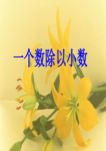 人教版课件五年级上册 一个数除以小数