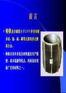 4.铸铁的分类