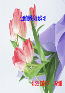 第二节--血流的管道——血管