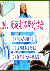 苏教版五上语文20、《厄运打不垮的信念》ppt