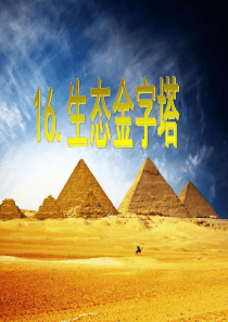 生态金字塔课件
