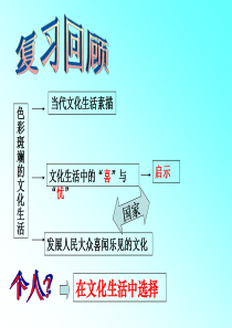 高中政治必修三课件：8.2在文化生活中选择-(共44张PPT)