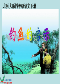 《钓鱼的启示 4》PPT课件