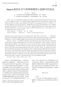 Notch基因在支气管哮喘模型小鼠肺中的表达