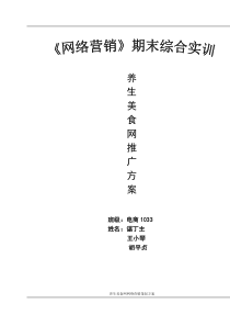 养生美食网网络推广方案