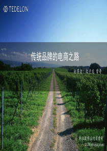 14传统品牌的电商之路