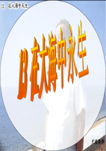 《13、在大海中永生1》课件