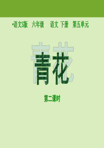 (语文S版)六年级语文下册课件+青花+1+第二课时