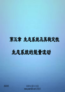 【人教版】必修三生物：5.2《生态系统的能量流动》优秀ppt课件