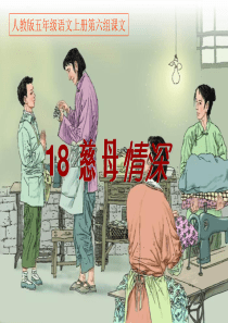 人教版五年级语文上册第六组《18慈母情深》PPT课件