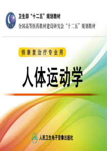 关节运动学_足和足弓