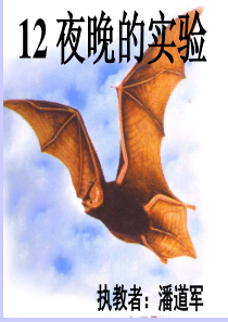 苏教版小学语文六年级下册《夜晚的实验》PPT课件_2(2)(1)(1) 2