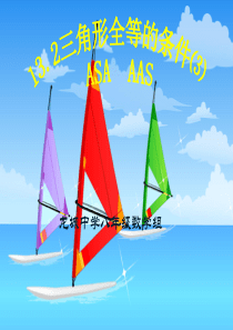 11.2.3 三角形全等的条件⑶(ASA AAS)