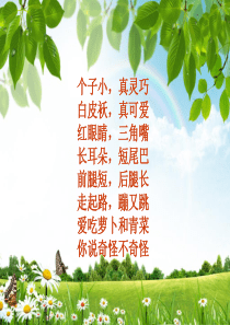 科学三年级小白兔2017104