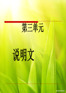 人教版小学语文五年级上册第三单元复习课件