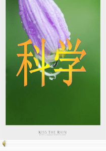 小学科学三年级上册《水和食用油的比较》课件