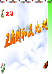 六年级数学总复习《正比例与反比例》复习.、