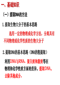 优质课DNA的粗提取与鉴定