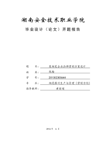 某烟花企业品牌营销方案设计