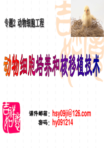 4动物细胞培养和核移植技术