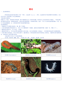 65植物保护学 电子讲义