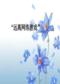 网络的危害主题班会课件