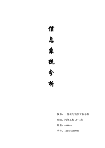 信息系统分析报告