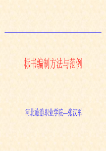 标书制作范例