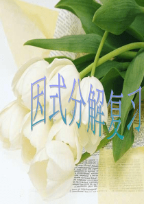 因式分解复习课件