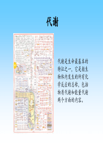 39代谢及代谢途径