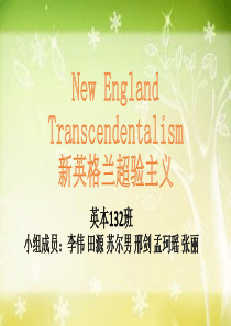美国超验主义分析