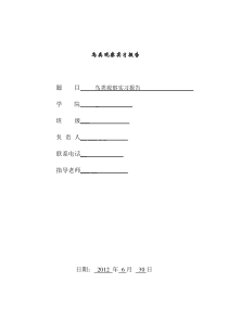 鸟类观察报告