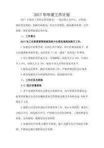 医院年度工作计划