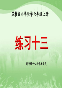 苏教版六年级数学上册《练习十三》教学课件