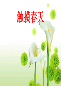 人教版小学语文四年级下册 17触摸春天 (2) ppt课件