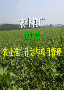 农业推广第九章农业推广计划与项目管理