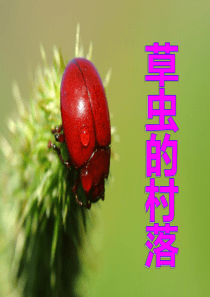 3草虫的村落课件-完美课件