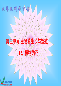 (青岛版)五年级科学下册课件_植物的花_1