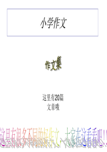 小学作文集