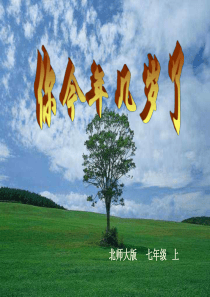 你今年几岁了2--北师大版
