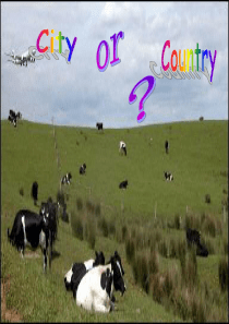 北师大版必修一Unit1 lesson4 City and country课件